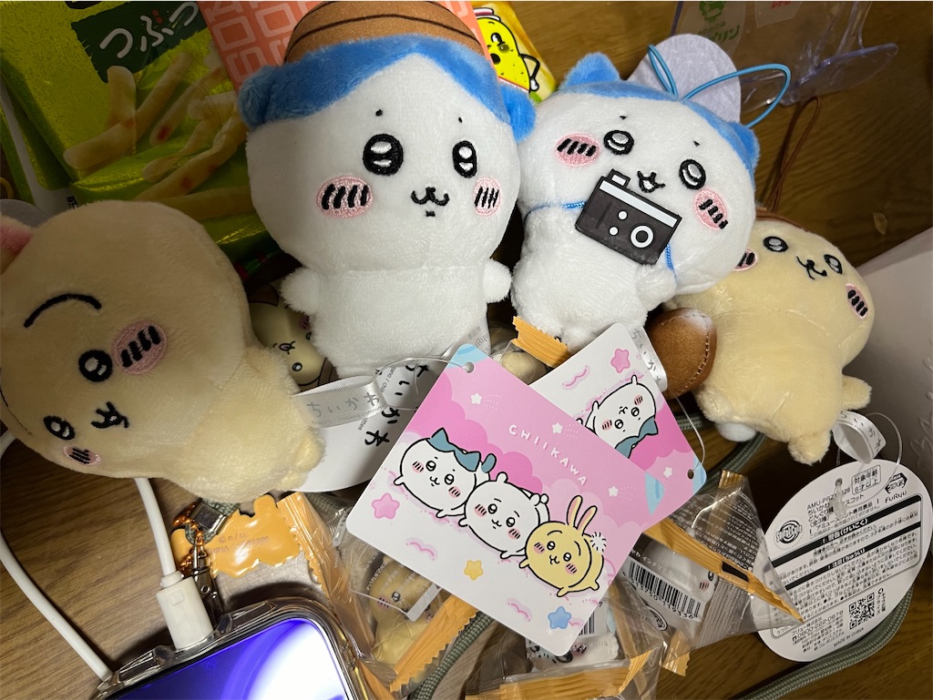 f:id:goukakuigakubu:20231110111208j:image f:id:goukakuigakubu:20231110111208j:image