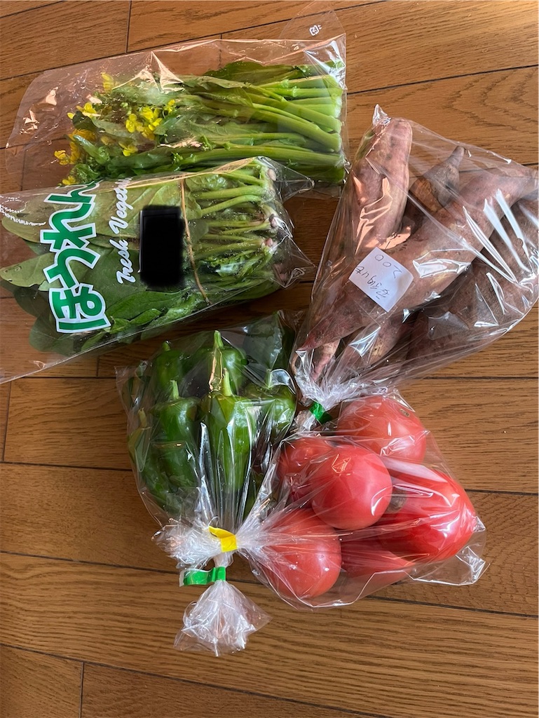 f:id:goukakuigakubu:20231114163133j:image