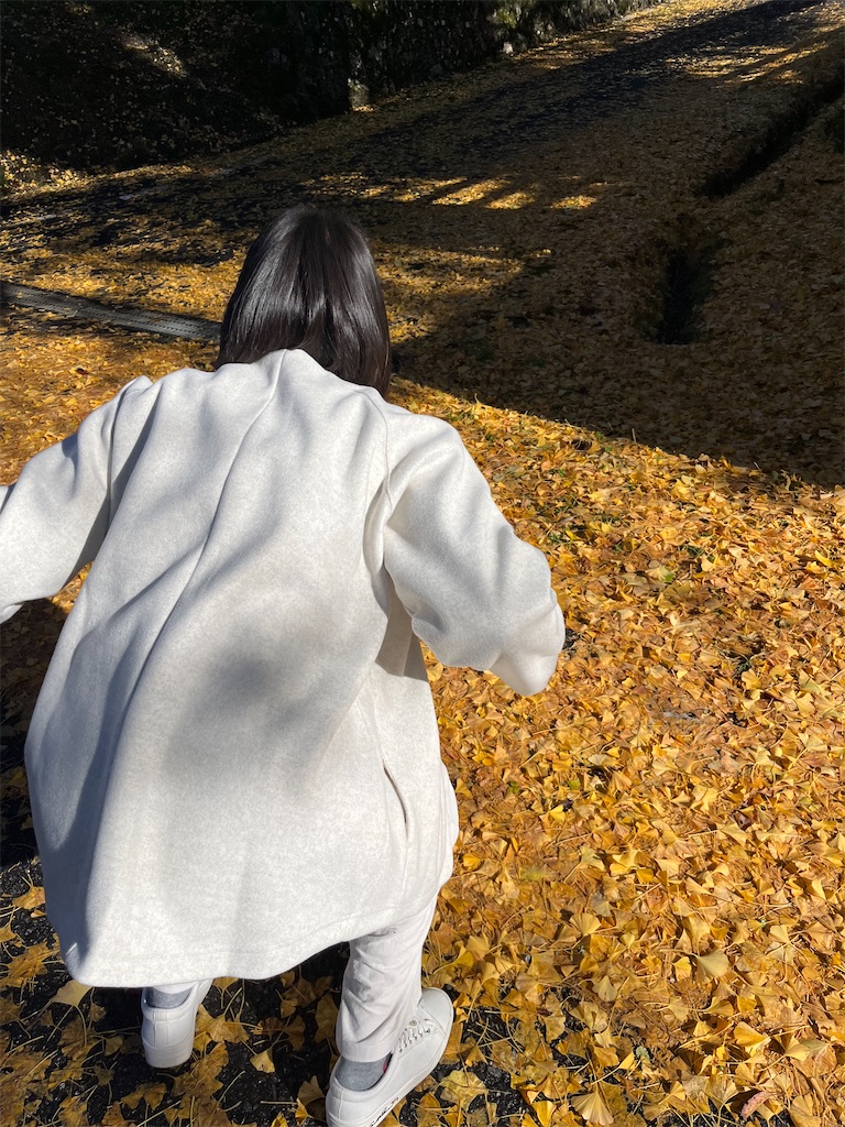 f:id:goukakuigakubu:20231120102841j:image f:id:goukakuigakubu:20231120102841j:image
