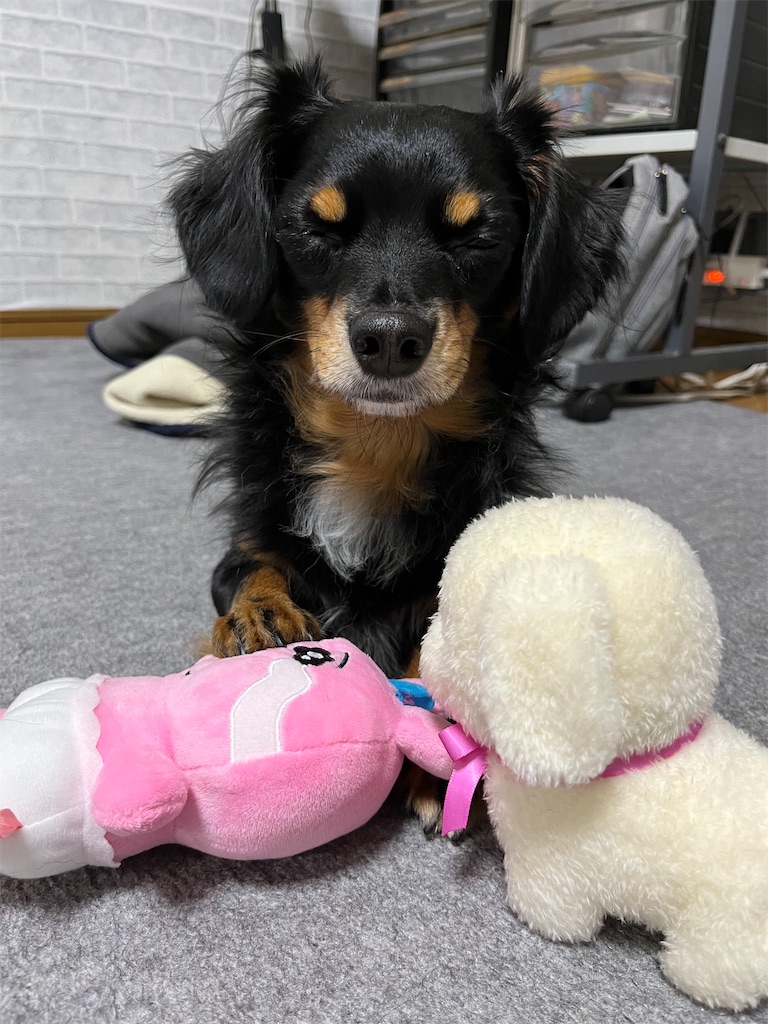 f:id:goukakuigakubu:20231120104211j:image f:id:goukakuigakubu:20231120104211j:image