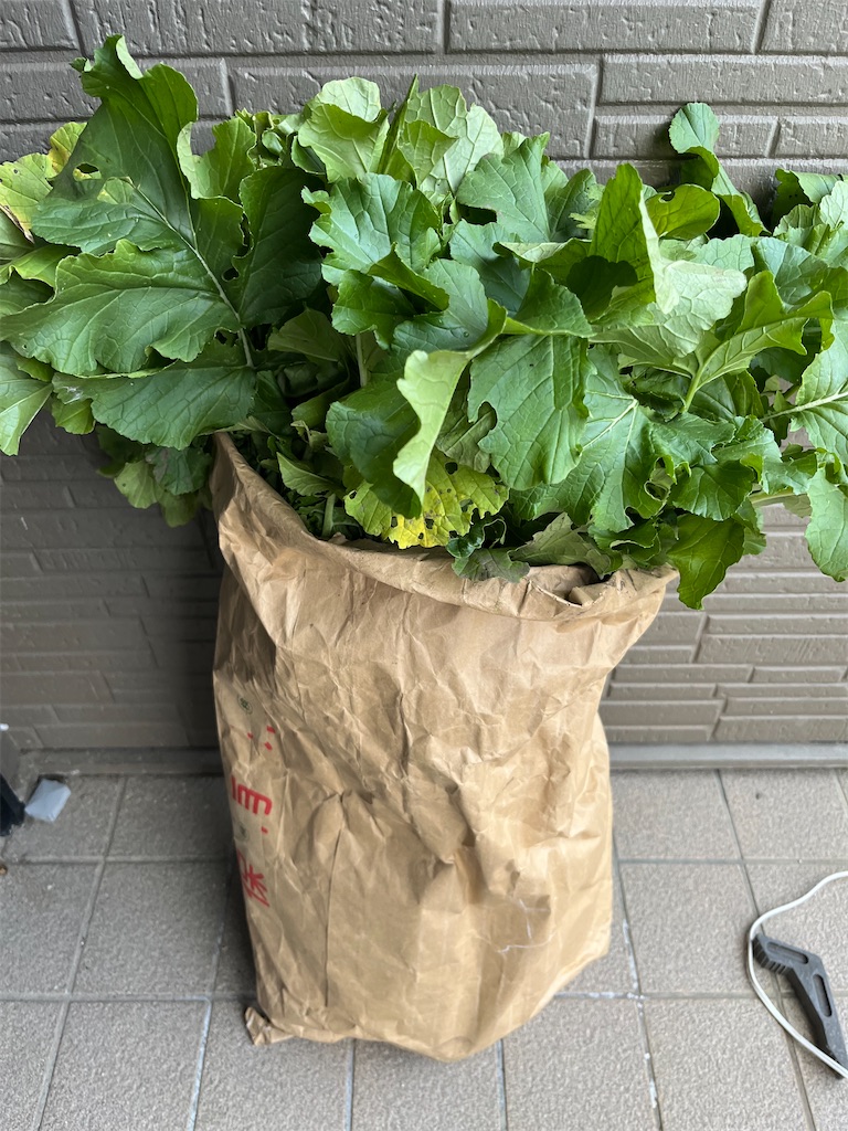 f:id:goukakuigakubu:20231121140059j:image f:id:goukakuigakubu:20231121140059j:image