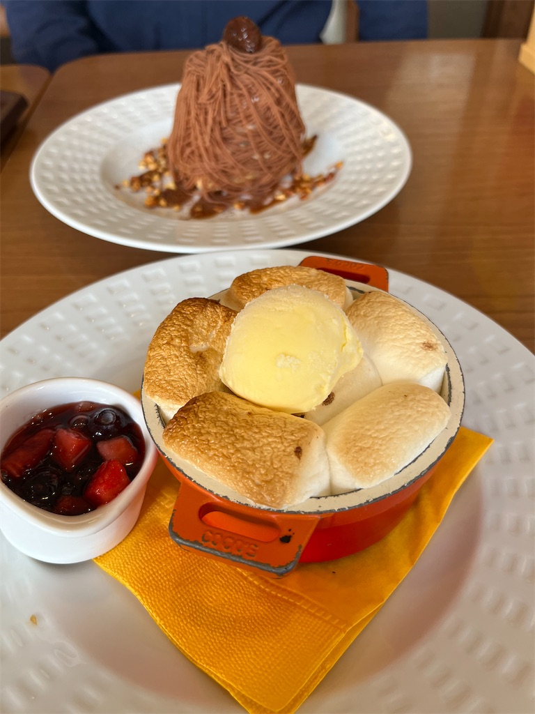 f:id:goukakuigakubu:20231124202021j:image f:id:goukakuigakubu:20231124202021j:image