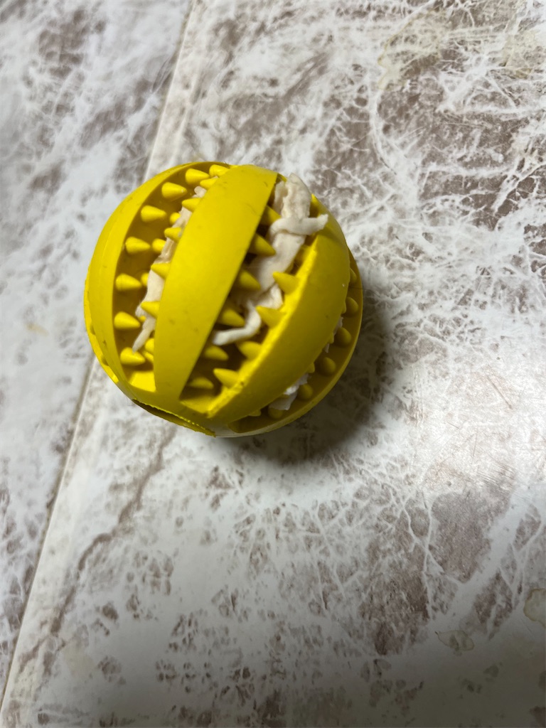 f:id:goukakuigakubu:20231124203747j:image f:id:goukakuigakubu:20231124203747j:image