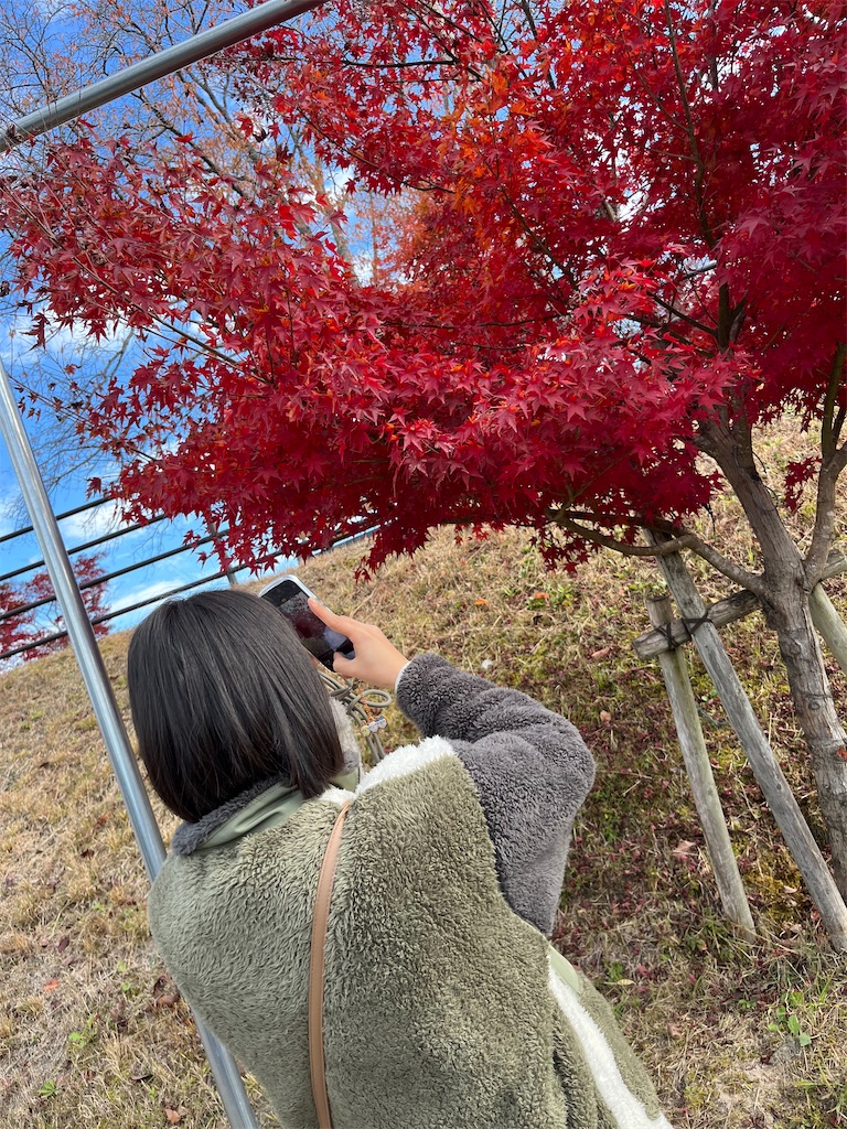 f:id:goukakuigakubu:20231127110006j:image f:id:goukakuigakubu:20231127110006j:image