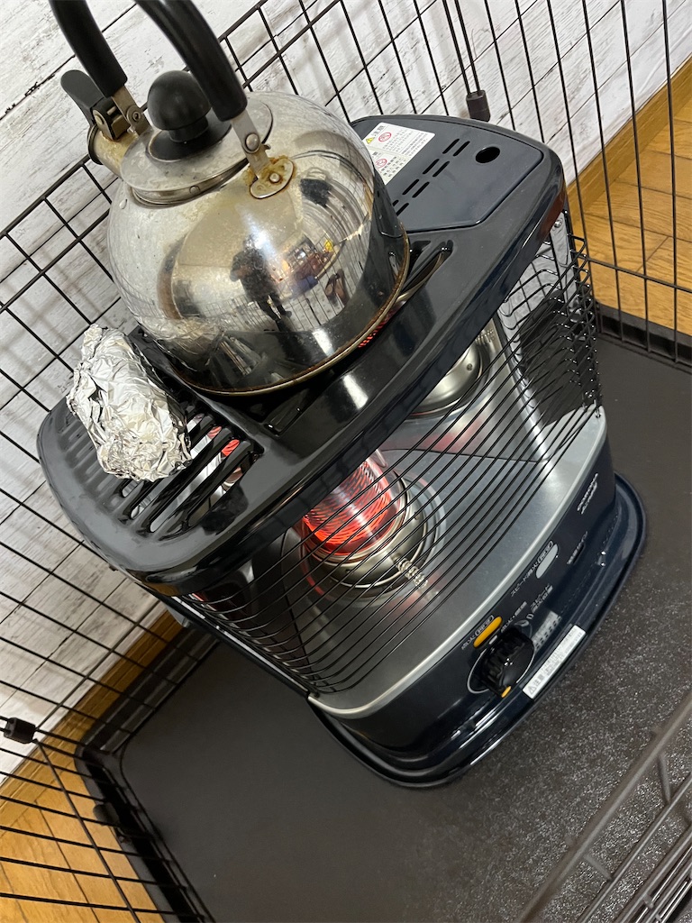 f:id:goukakuigakubu:20231208102955j:image f:id:goukakuigakubu:20231208102955j:image