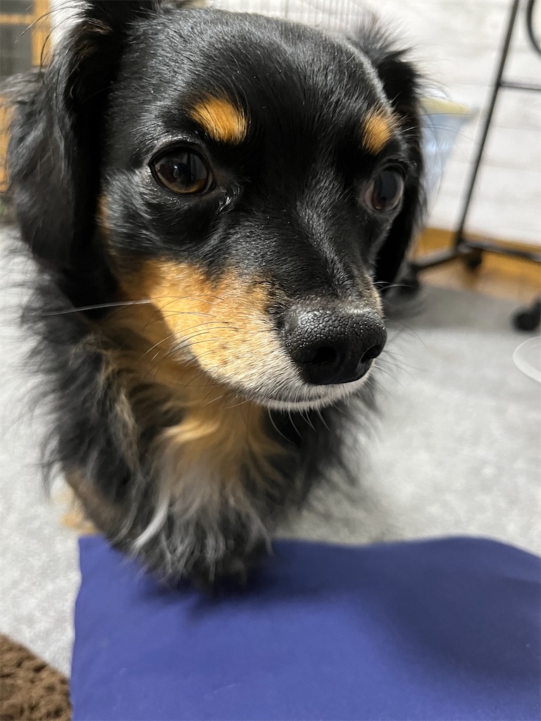 f:id:goukakuigakubu:20231208103149j:image f:id:goukakuigakubu:20231208103149j:image