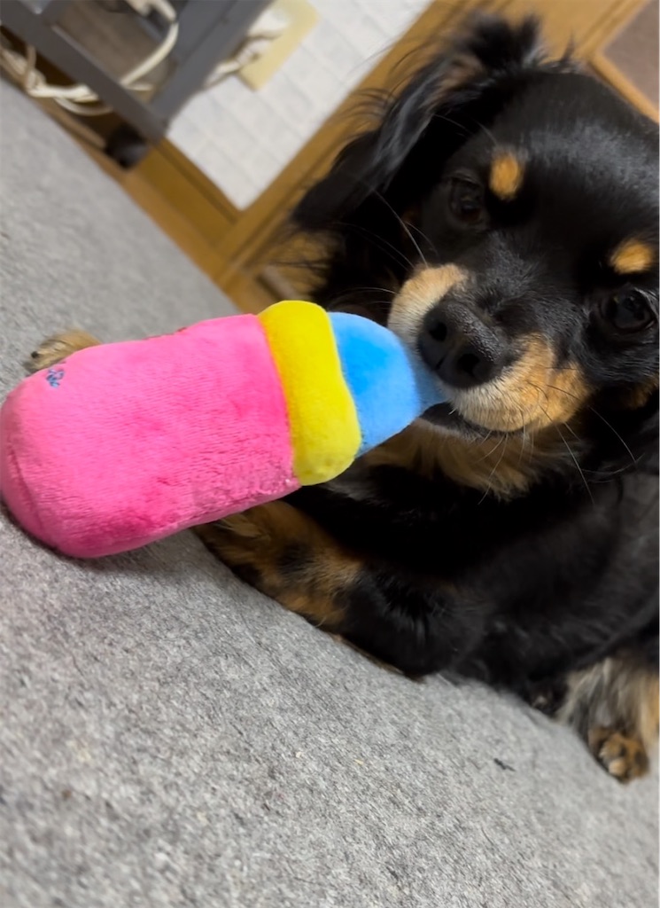 f:id:goukakuigakubu:20240102154711j:image