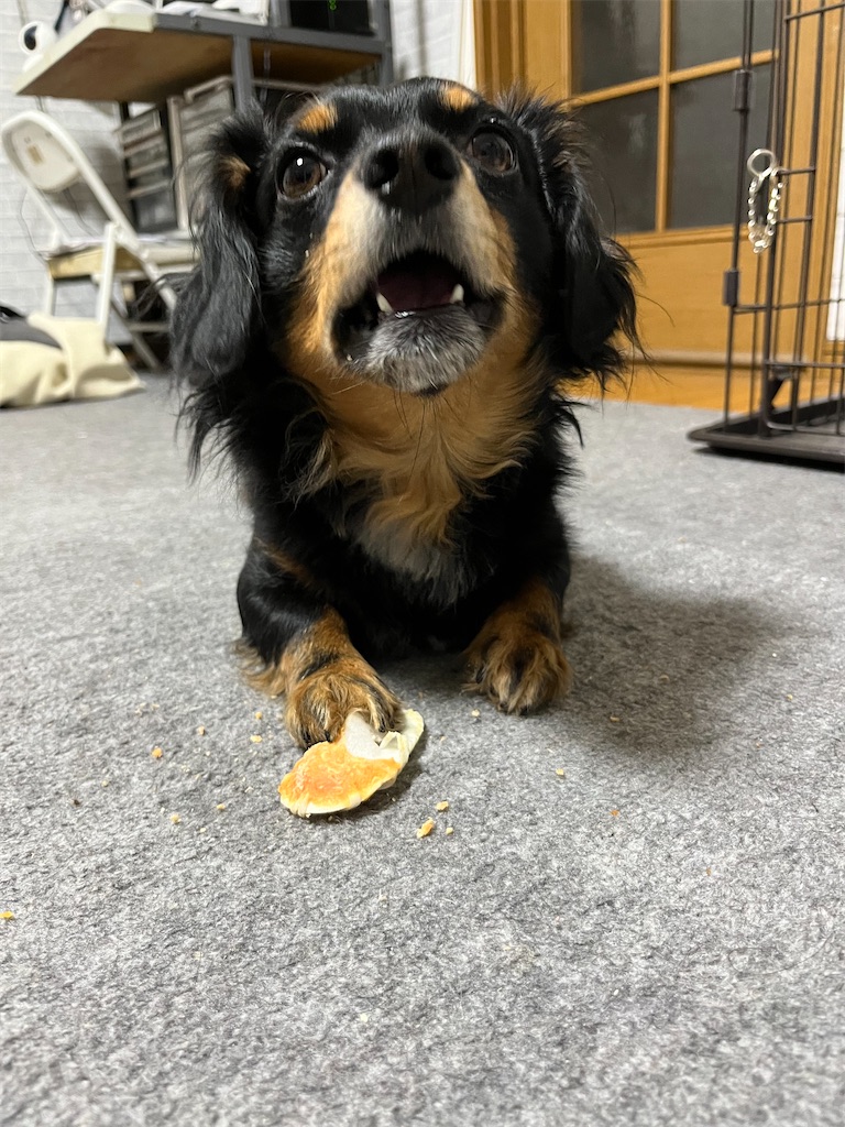 f:id:goukakuigakubu:20240113110527j:image f:id:goukakuigakubu:20240113110527j:image