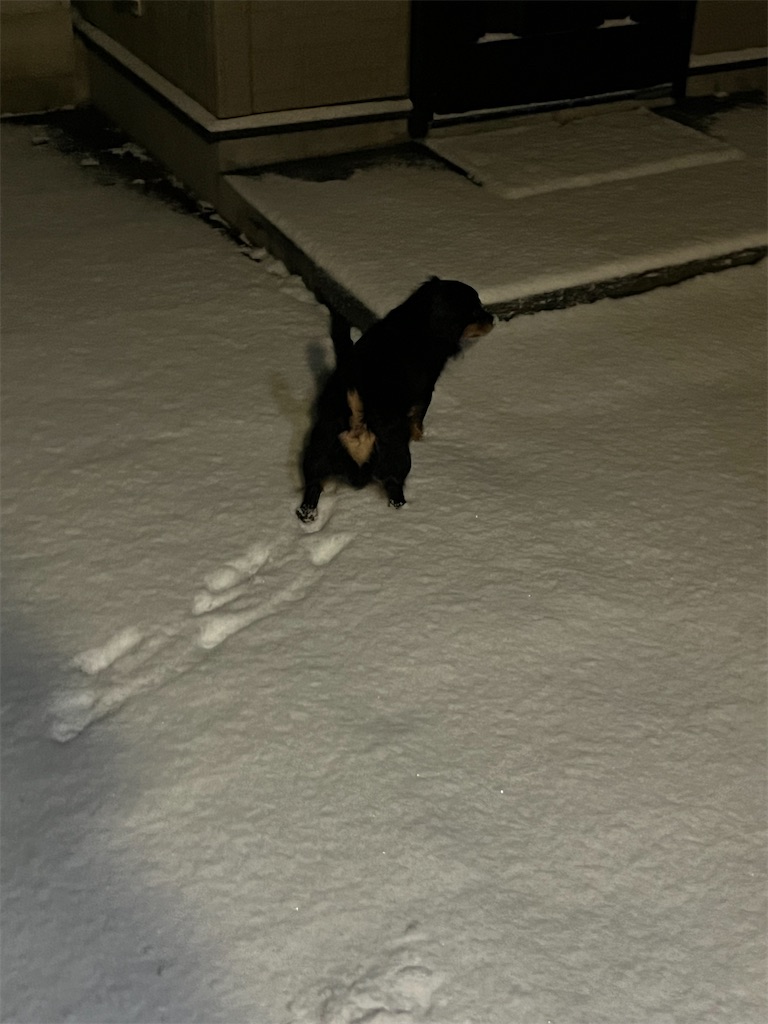 f:id:goukakuigakubu:20240114223314j:image
