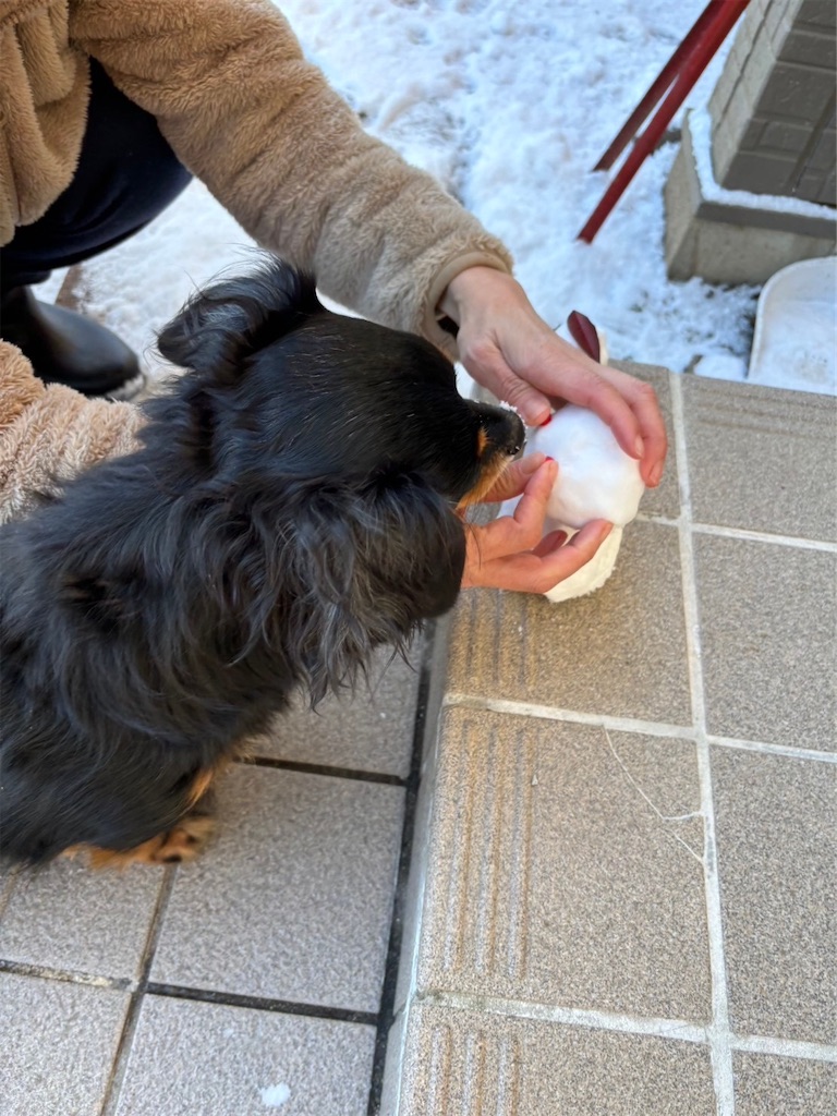 f:id:goukakuigakubu:20240115101124j:image