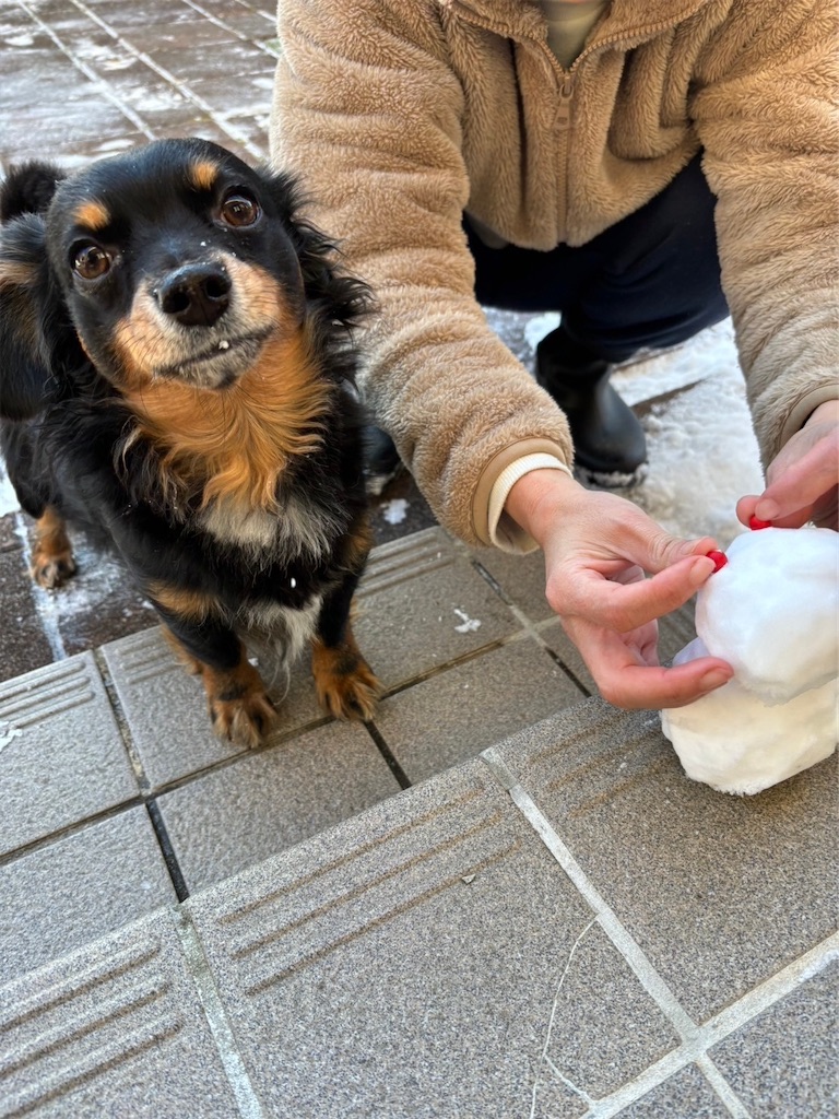 f:id:goukakuigakubu:20240115101135j:image