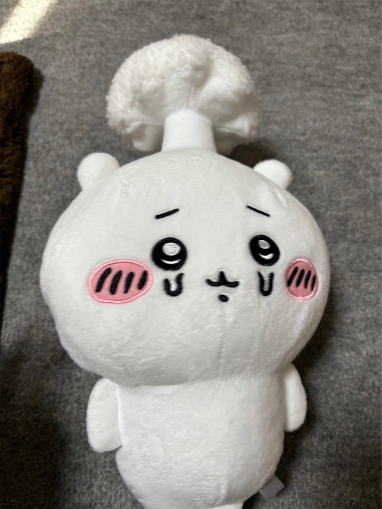 f:id:goukakuigakubu:20240116082342j:image