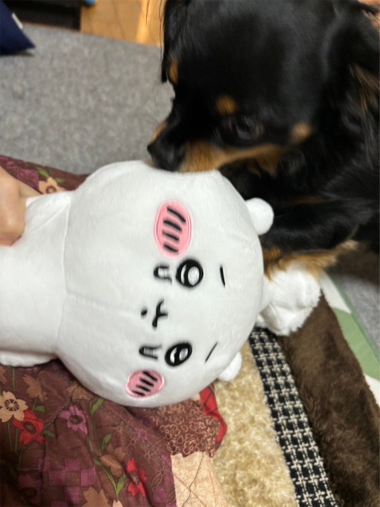 f:id:goukakuigakubu:20240116082345j:image