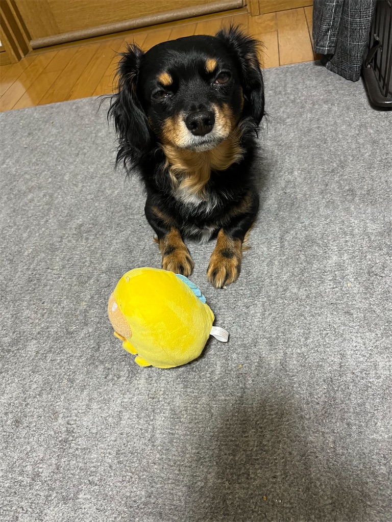 f:id:goukakuigakubu:20240118114949j:image