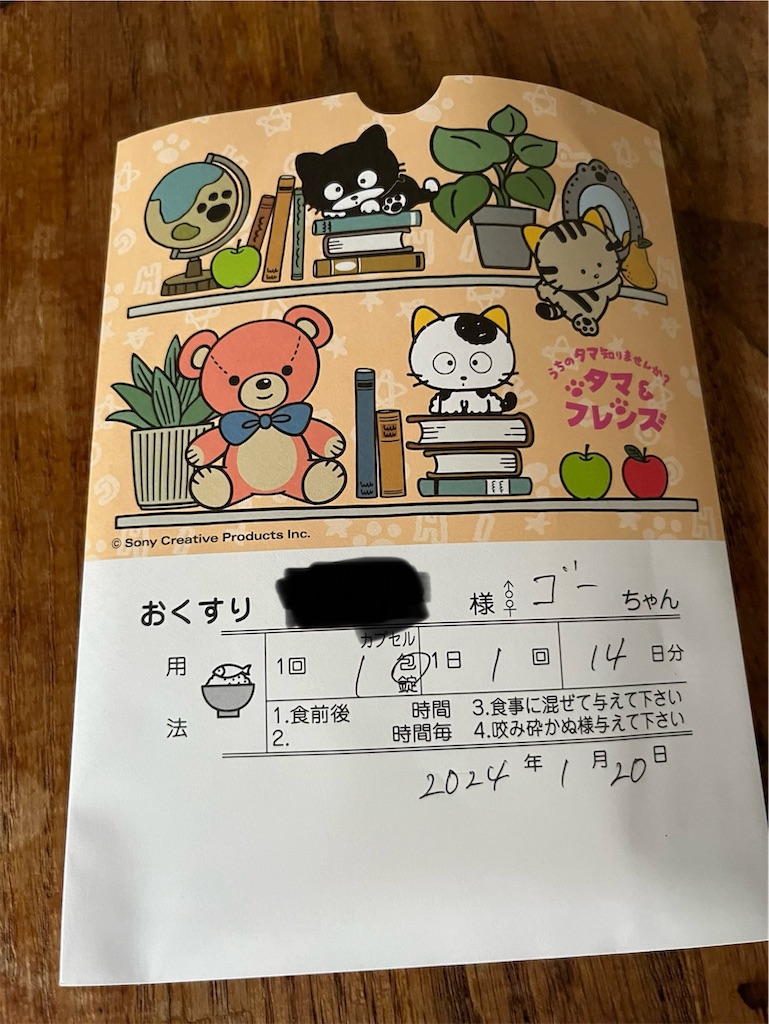 f:id:goukakuigakubu:20240122101708j:image