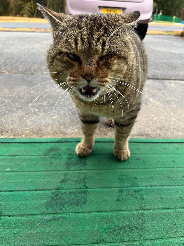 f:id:goukakuigakubu:20240122170423j:image f:id:goukakuigakubu:20240122170423j:image