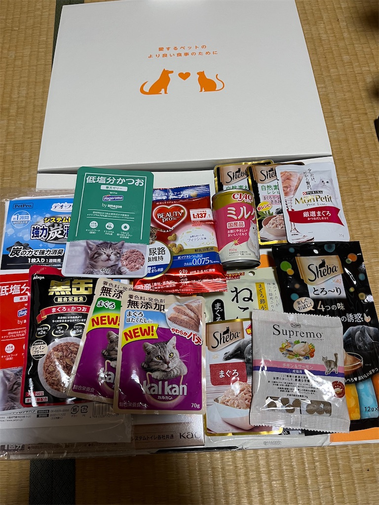 f:id:goukakuigakubu:20240123221248j:image