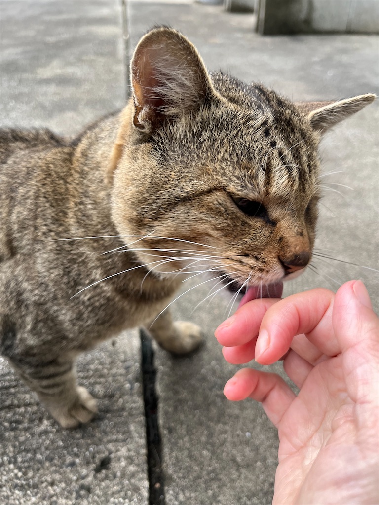 f:id:goukakuigakubu:20240130131602j:image f:id:goukakuigakubu:20240130131602j:image
