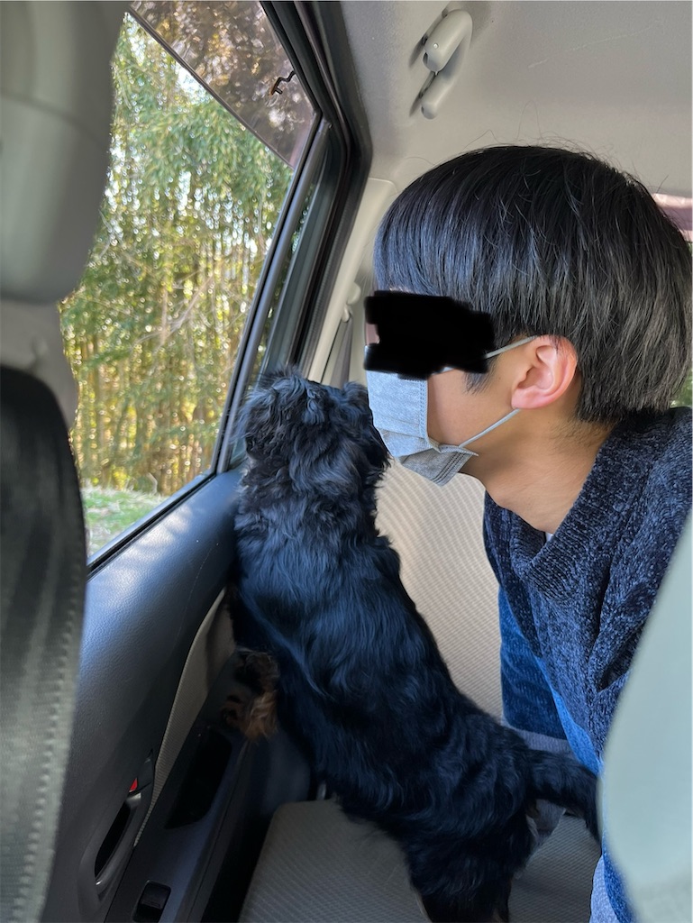 f:id:goukakuigakubu:20240213175349j:image f:id:goukakuigakubu:20240213175349j:image