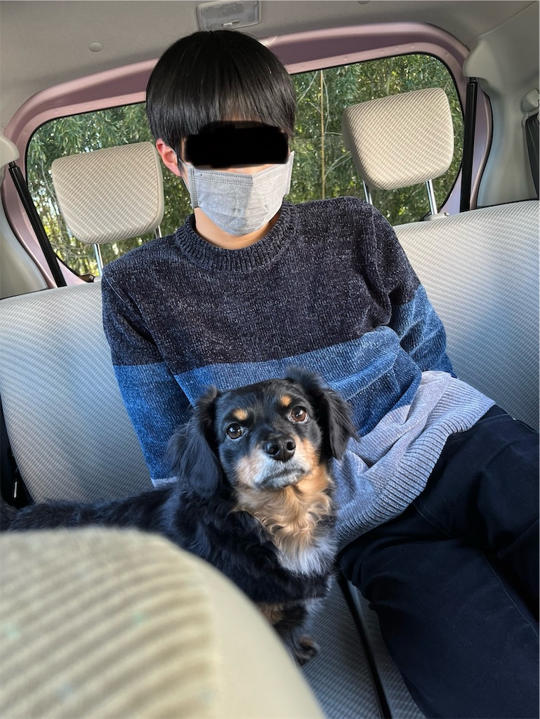 f:id:goukakuigakubu:20240213175352j:image f:id:goukakuigakubu:20240213175352j:image