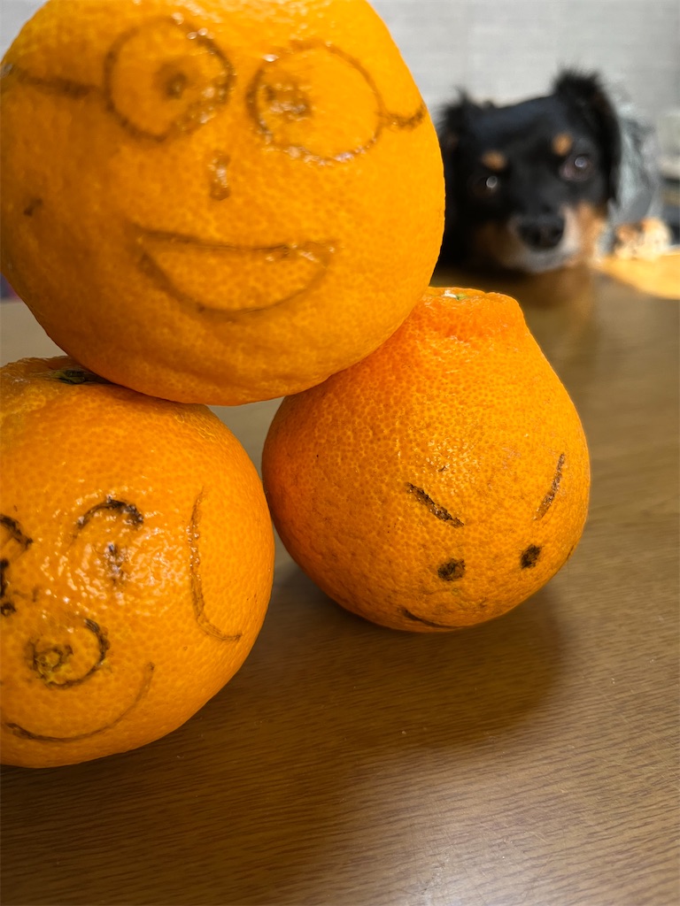 f:id:goukakuigakubu:20240214150634j:image