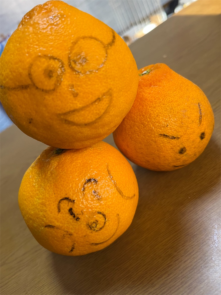 f:id:goukakuigakubu:20240214152413j:image