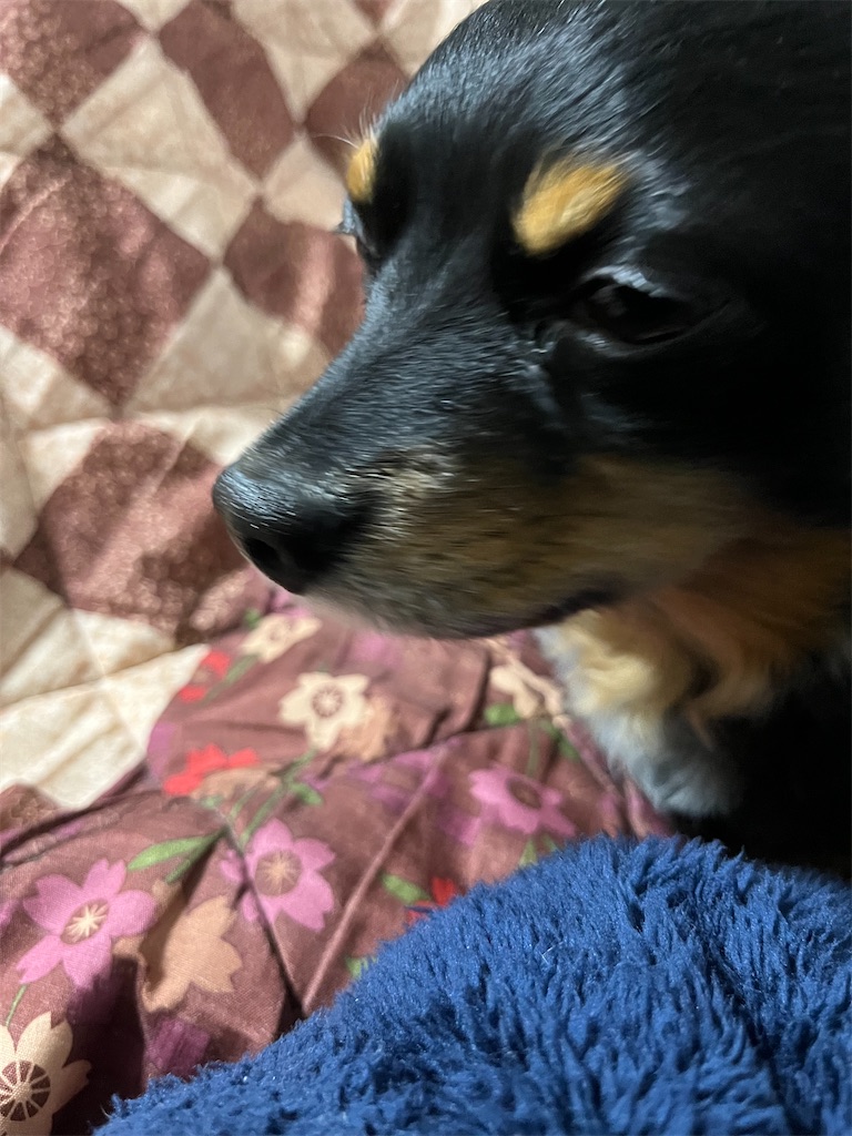 f:id:goukakuigakubu:20240216100840j:image f:id:goukakuigakubu:20240216100840j:image