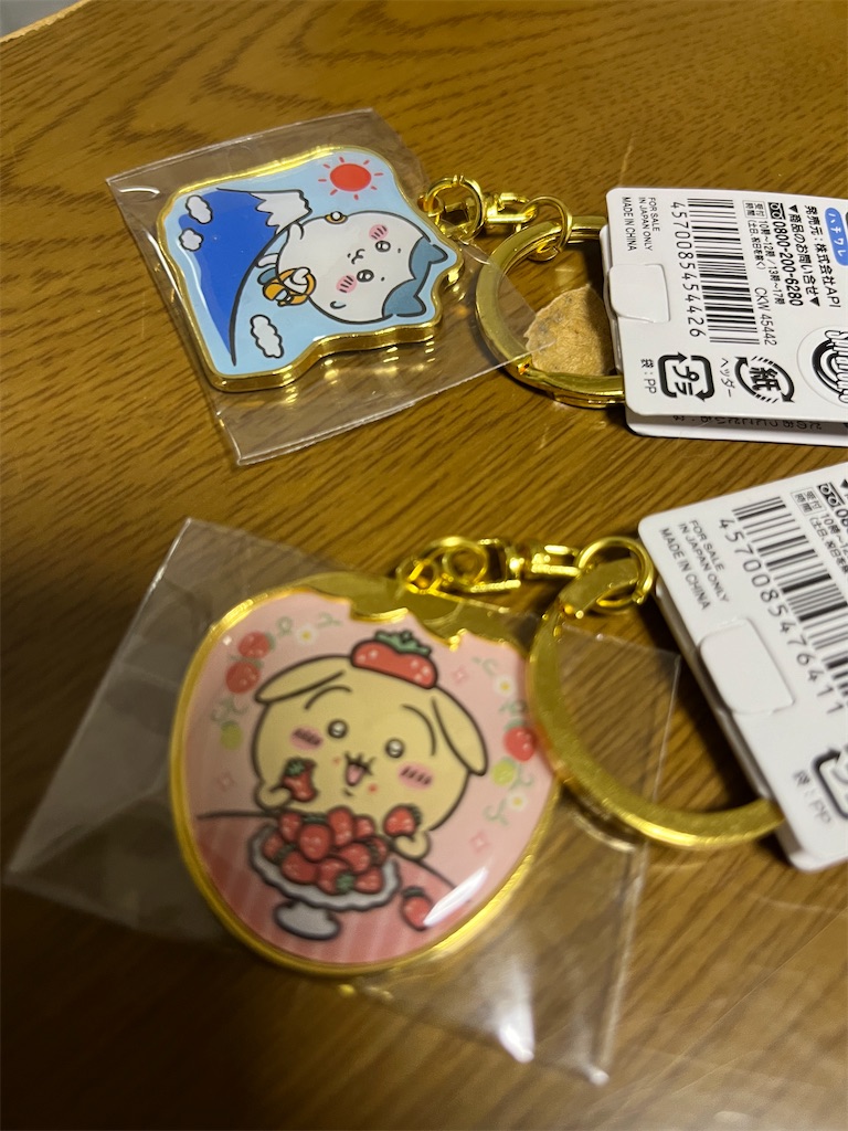 f:id:goukakuigakubu:20240218104455j:image
