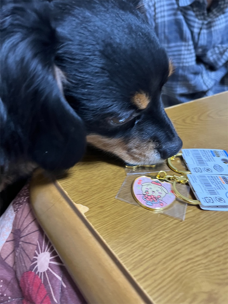 f:id:goukakuigakubu:20240218104458j:image