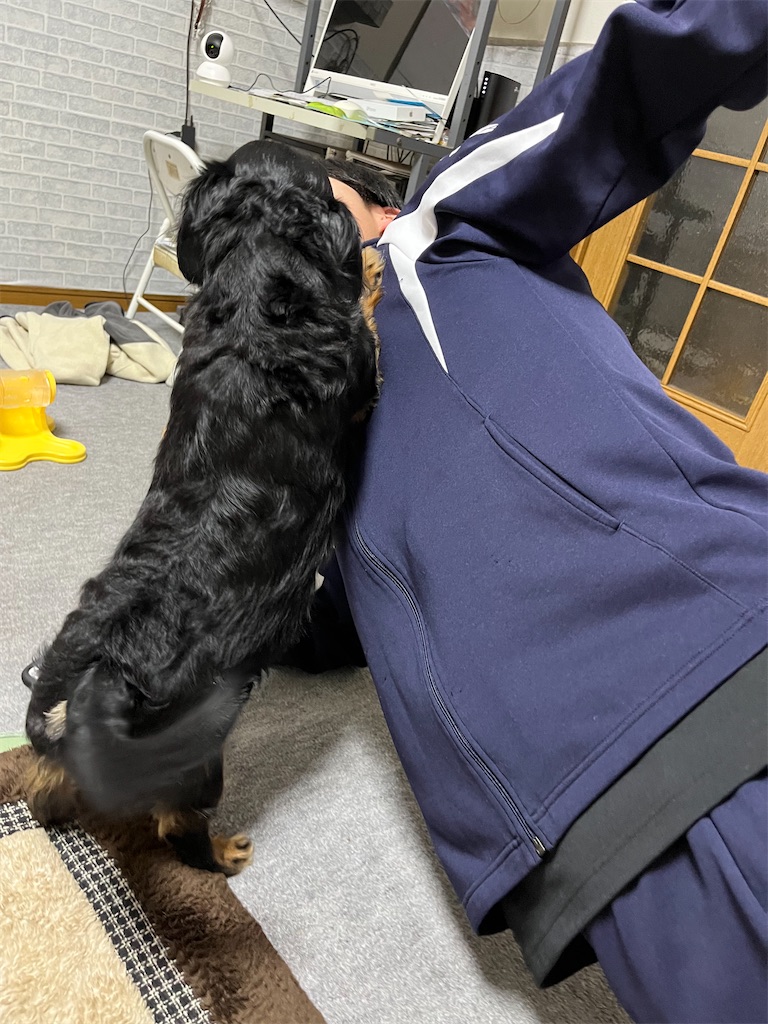 f:id:goukakuigakubu:20240220104808j:image