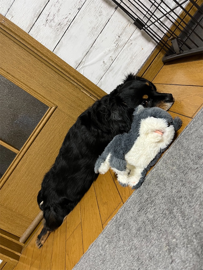 f:id:goukakuigakubu:20240224112948j:image