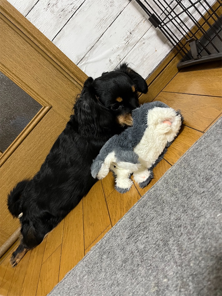 f:id:goukakuigakubu:20240224112954j:image