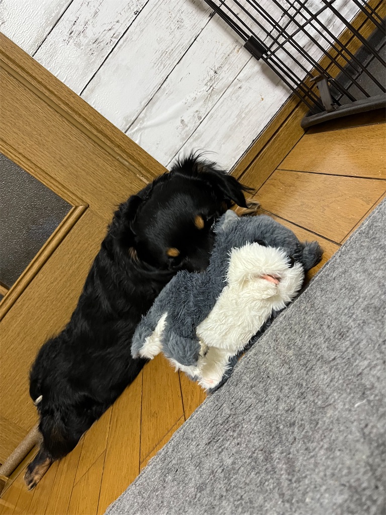 f:id:goukakuigakubu:20240224112959j:image