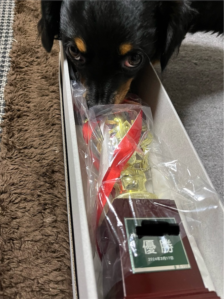 f:id:goukakuigakubu:20240319111510j:image