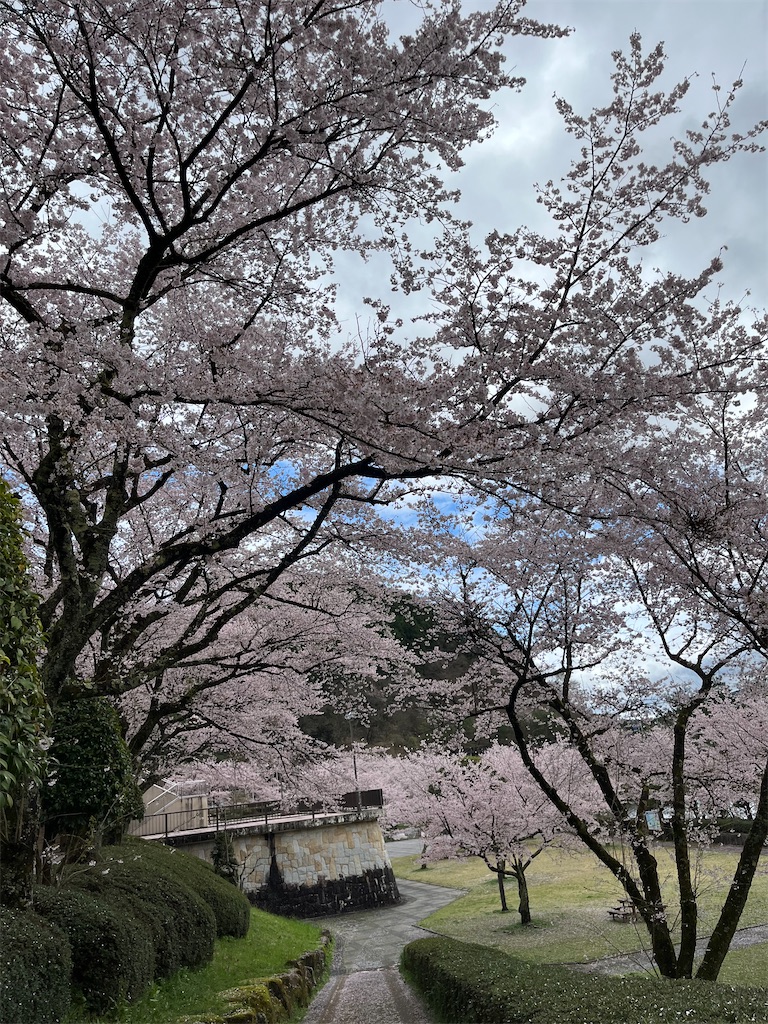f:id:goukakuigakubu:20240410132156j:image
