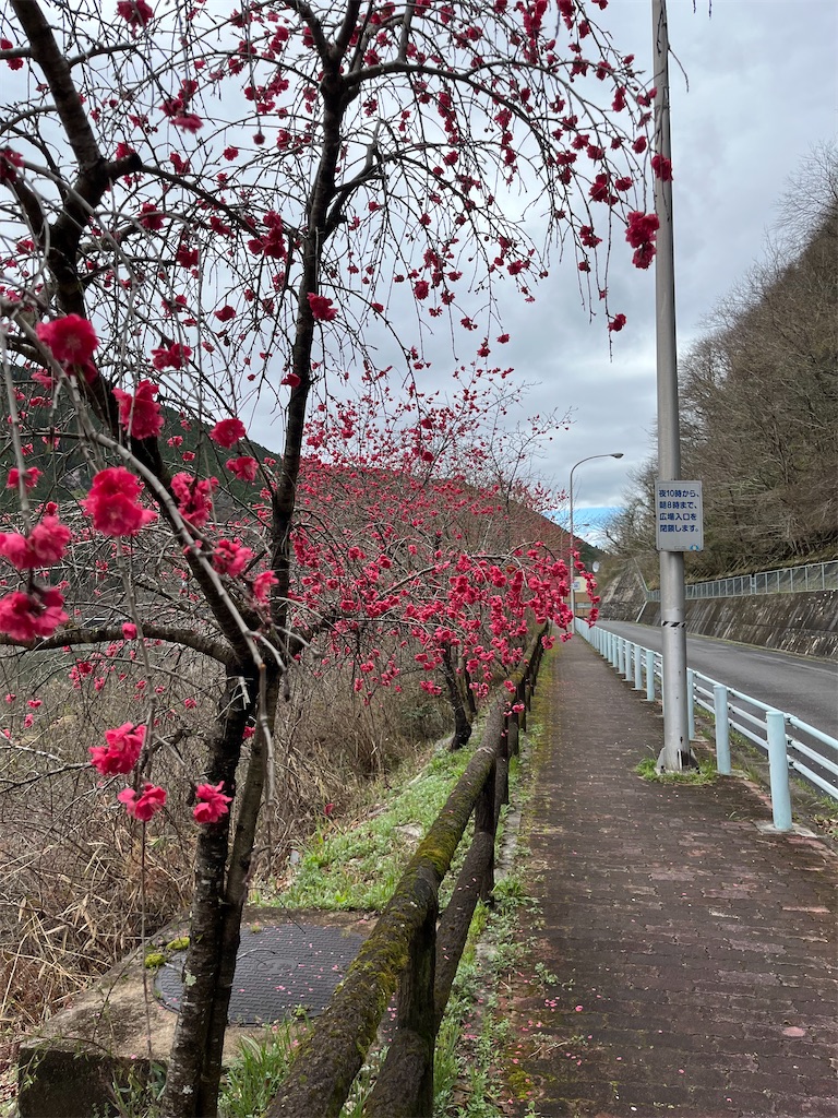 f:id:goukakuigakubu:20240410132456j:image