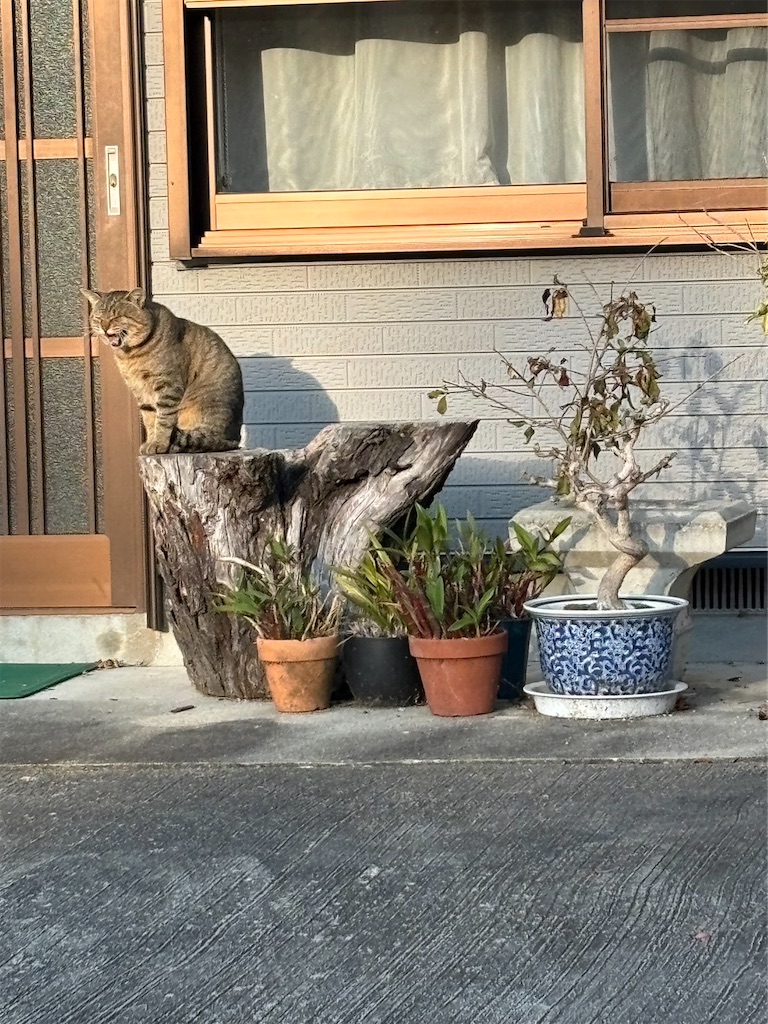 f:id:goukakuigakubu:20240410134255j:image