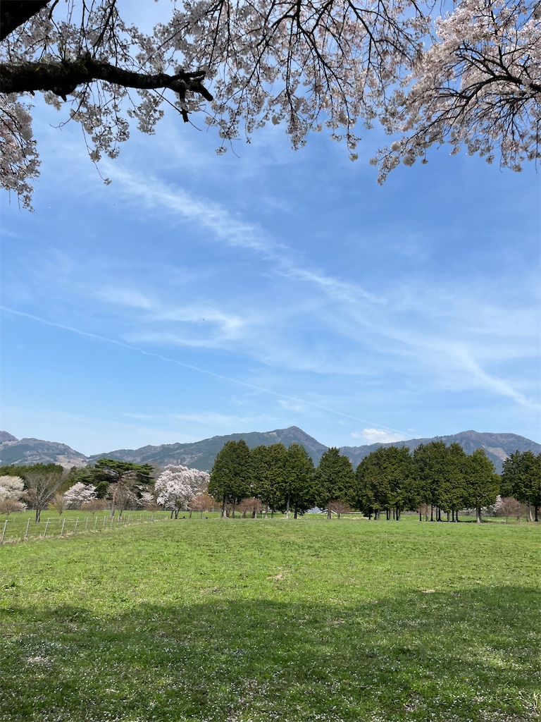 f:id:goukakuigakubu:20240414233249j:image