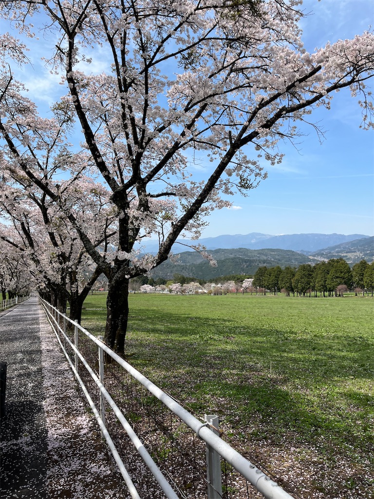f:id:goukakuigakubu:20240414233253j:image
