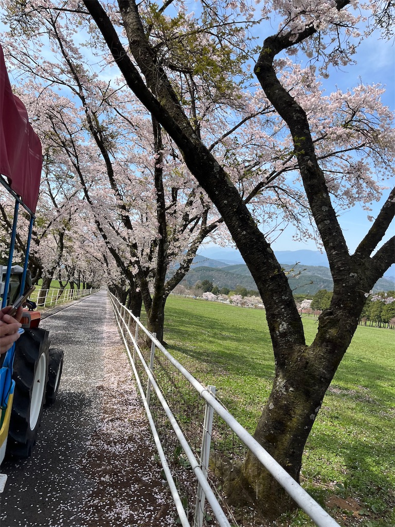 f:id:goukakuigakubu:20240414234023j:image