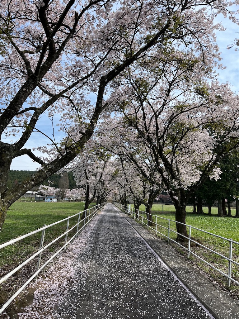 f:id:goukakuigakubu:20240414234223j:image