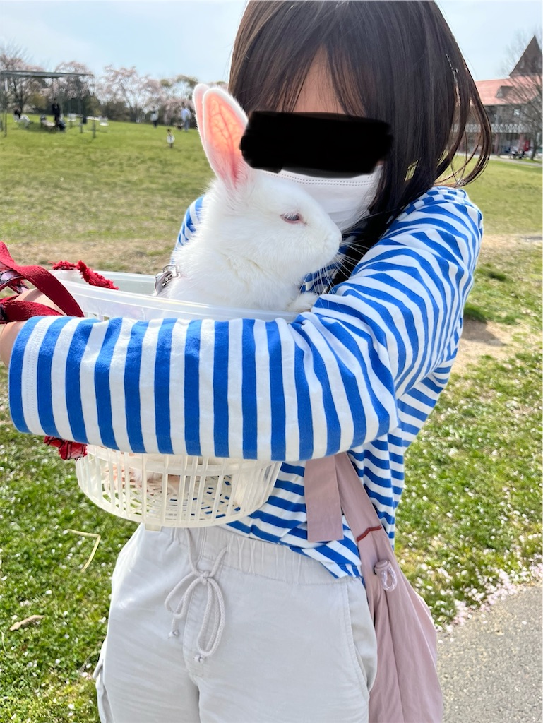 f:id:goukakuigakubu:20240414234338j:image