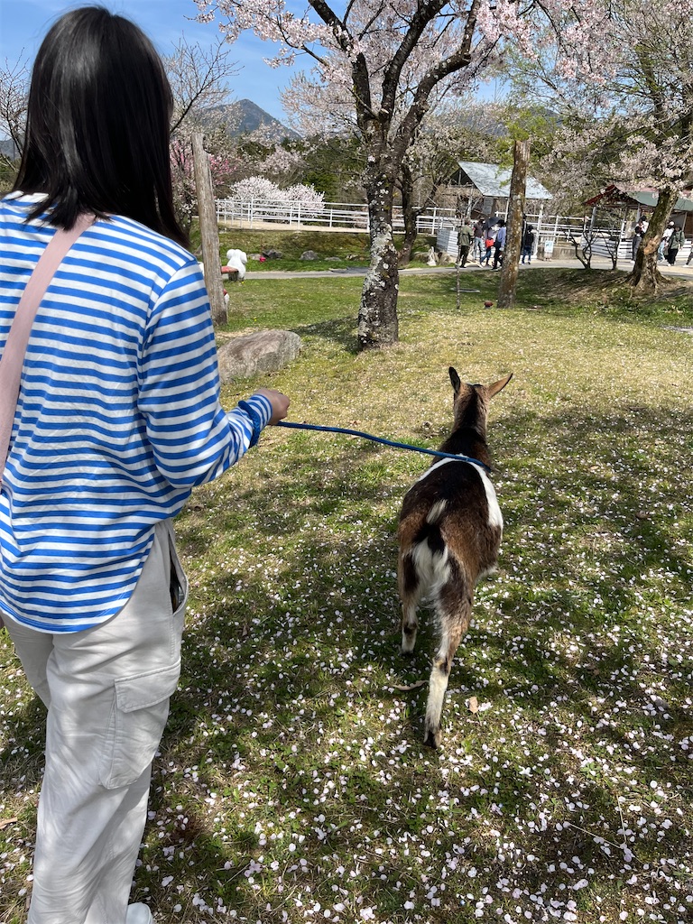 f:id:goukakuigakubu:20240414234711j:image