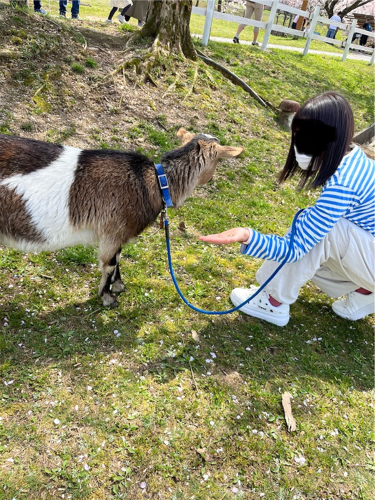 f:id:goukakuigakubu:20240414234822j:image