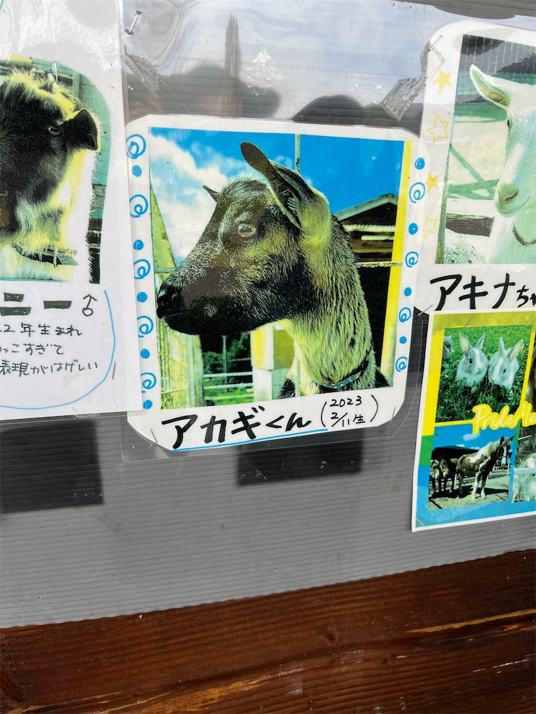 f:id:goukakuigakubu:20240414235005j:image