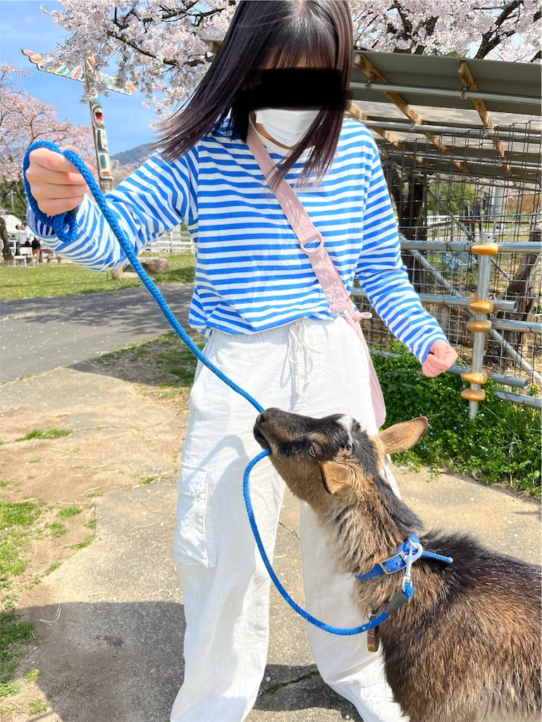 f:id:goukakuigakubu:20240414235138j:image