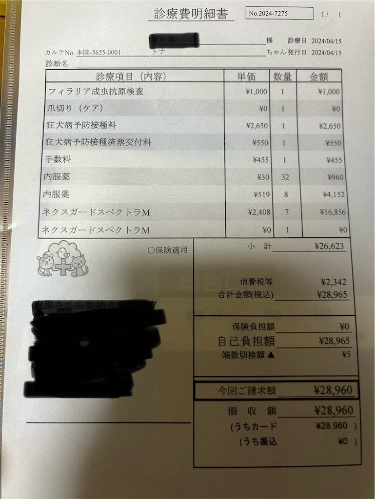 f:id:goukakuigakubu:20240416084125j:image