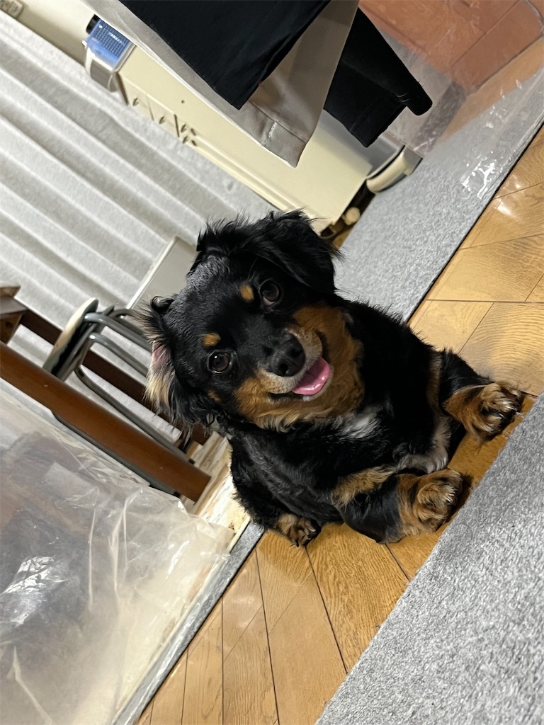 f:id:goukakuigakubu:20240509201112j:image f:id:goukakuigakubu:20240509201112j:image