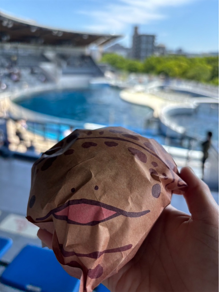 f:id:goukakuigakubu:20240521212400j:image f:id:goukakuigakubu:20240521212400j:image