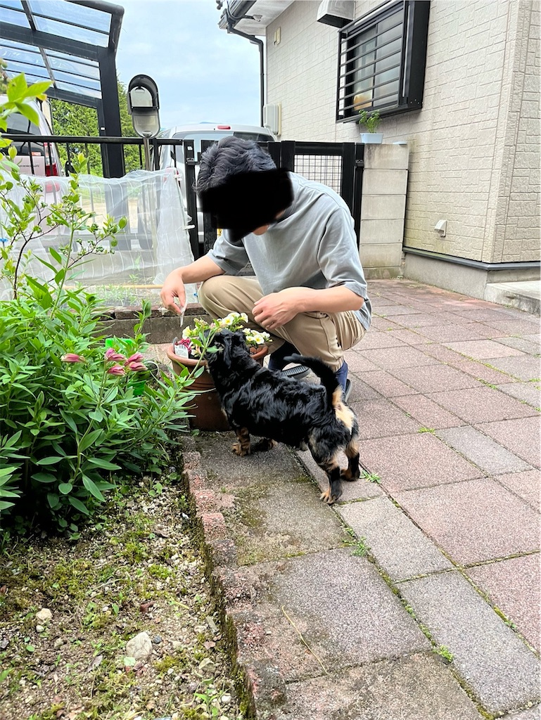 f:id:goukakuigakubu:20240524144938j:image f:id:goukakuigakubu:20240524144938j:image